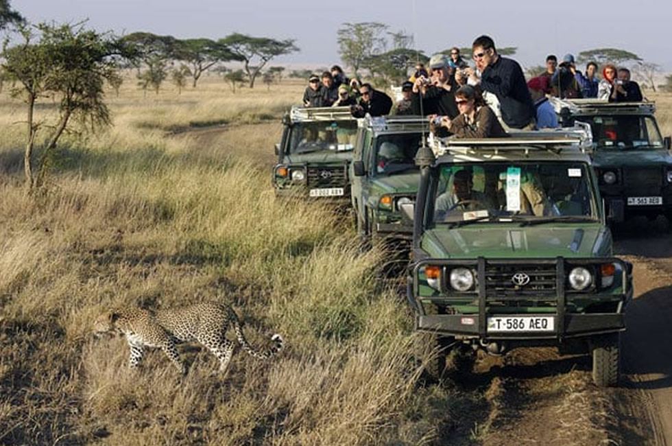 Camping Gear Hire With a Safari Vehicle in East Africa